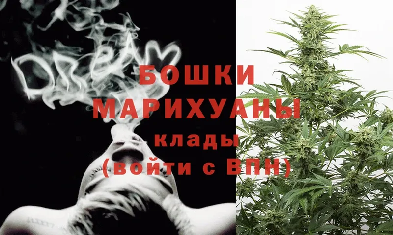 Бошки марихуана SATIVA & INDICA  Медынь 